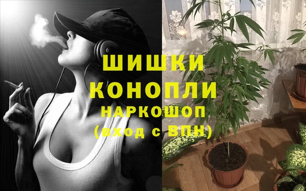 соль ск Балахна